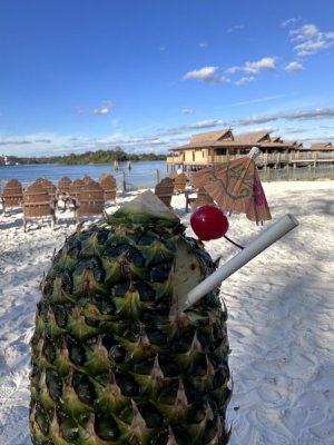 IMG_1379.jpeg