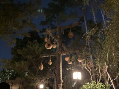 IMG_2200.jpeg