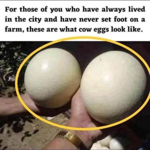 IMG_5654.jpeg