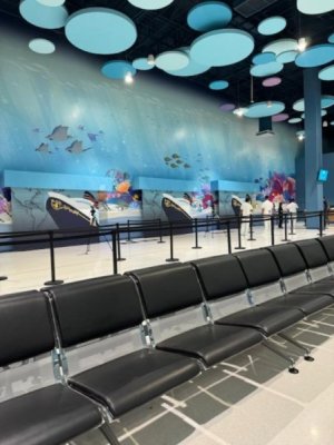 DCL FLL 6.jpg