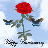 IMG_3257.gif
