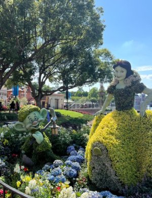 IMG_CB500AD79104-1.jpeg