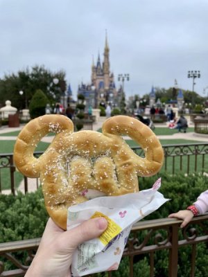IMG_2871.jpeg
