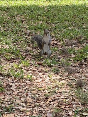 IMG_9244.jpeg
