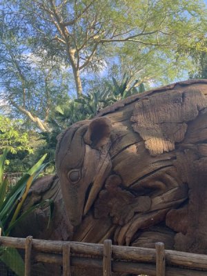IMG_5049.JPEG