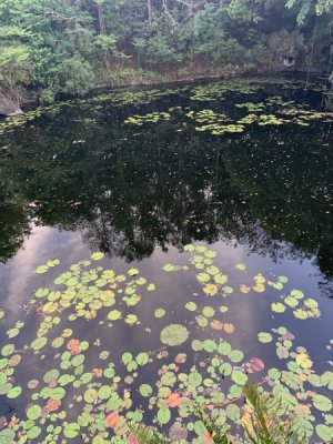 IMG_5079.JPEG