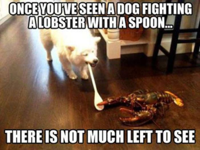 1714794964879.png