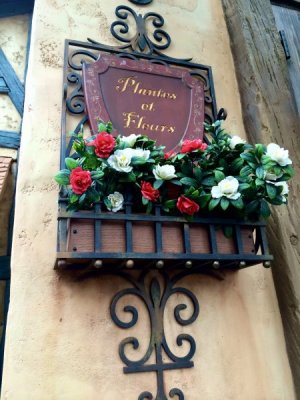 IMG_0661.jpeg