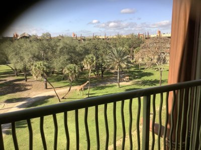 IMG_0261.jpeg