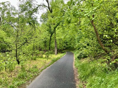 green trail.jpg