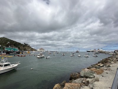 IMG_9445.jpg