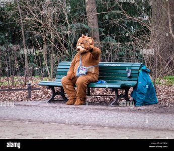man-in-bear-fancy-dress-costume-sitting-on-bench-berlin-HE7GJW.jpg