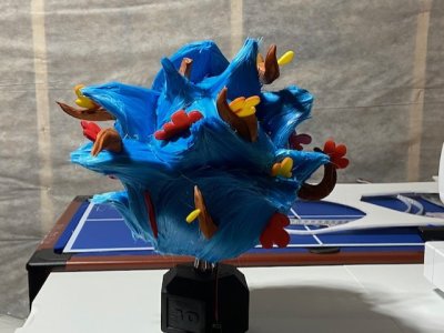 thumbnail_IMG_7193.jpg