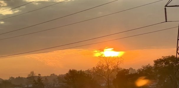 IMG_3487.jpeg