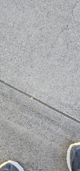 20240406_120148.jpg