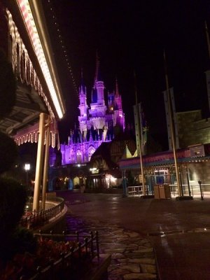 IMG_0753.jpeg