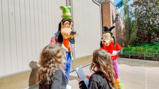 Goofy2.jpg