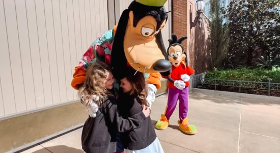 Goofy3.jpg