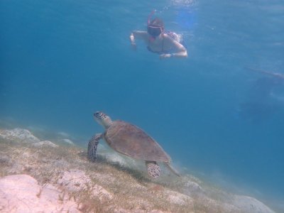 IMG_1449.jpeg