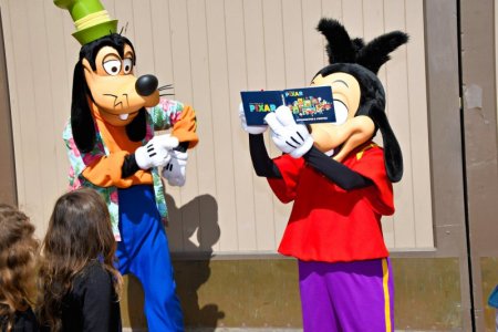 Goofy7.jpg
