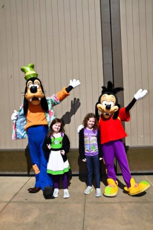 Goofy11.jpg