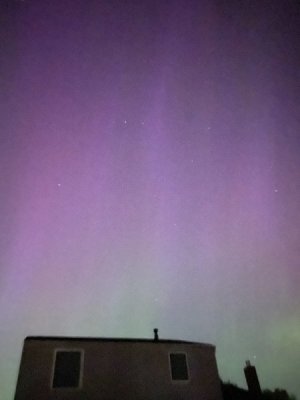 IMG_2458.jpeg