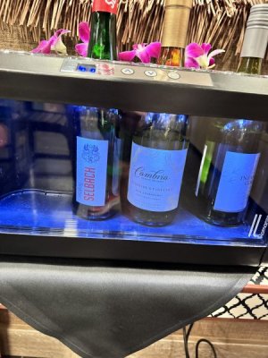 IMG_8307.jpeg