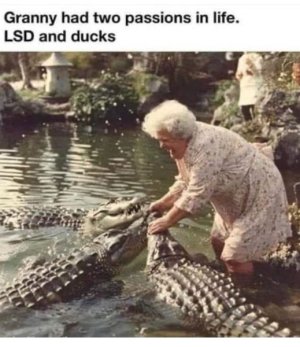 IMG_5929.jpeg