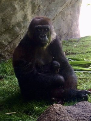 IMG_0205.jpeg