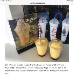 IMG_7484.jpeg