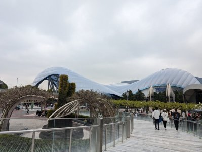 PXL_20240403_055239558.jpg