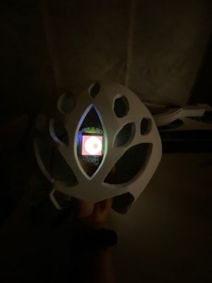 thumbnail_IMG_7295.jpg