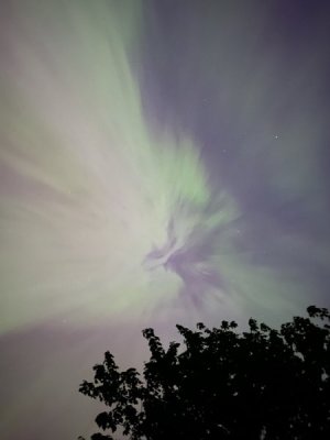 IMG_7755.jpeg