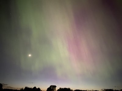 IMG_7756.jpeg