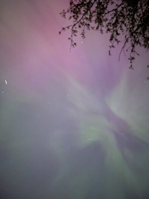 IMG_7771.jpeg