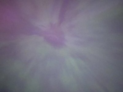 IMG_7774.jpeg