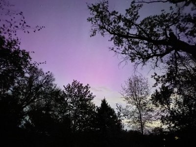 IMG_7788.jpeg