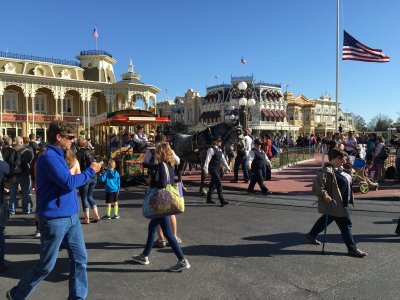 25F05317-ED65-4E97-A71D-DED111121D91.jpeg