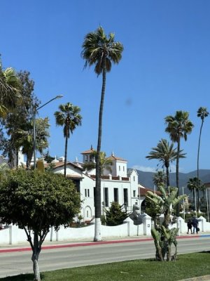 IMG_9728.jpg