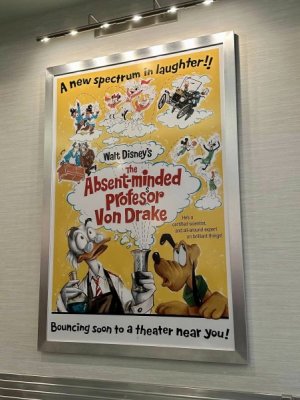 IMG_0207.jpeg