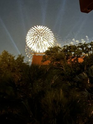 IMG_8810.jpeg