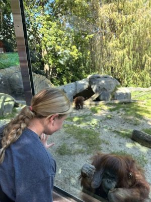 IMG_9917.jpg IMG_9917.jpg