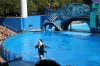 IMG_0067a.jpg