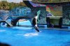IMG_0071a.jpg