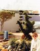 JIM-Figment Top & jumping fountains 1983.jpg