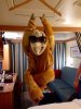 Towel Monkey.jpg