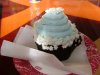 DSC05147.JPG