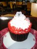 DSC05148.JPG