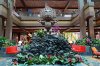 Disneys-Polynesian-Resort_Full_23757_opt.jpg