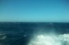 26207 100_7376 1500.jpg